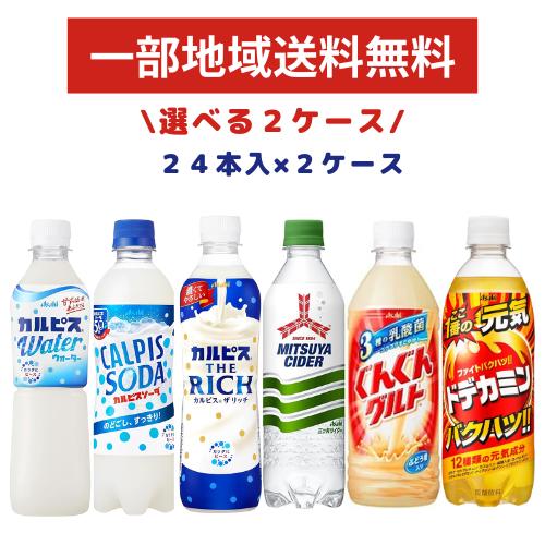 お得な選べる2ケースセット！24本入り×2ケース