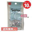 共立食品 トッピング スターミッ...
