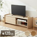 テレビボード 幅120cm テレビ台 扉収納 オープン収納 可動棚 TVボード AV機器 ゲーム機 ラック リビング ダイニング 一人暮らし ファミリー ワンル...