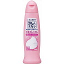 【単品4個セット】チャーミー 泡のチカラ 手肌プレミアム 240ml ライオン(代引不可)(3)