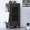 ロッカー風収納ケース メッシュ ペグボード付き 扉 キャビネット ラック 棚 収納ボックス プラスチック収納 フィッツ Fits おしゃれ シンプル(代引不可)【送料無料】