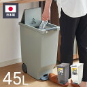 ゴミ箱 ごみ箱 ダストボックス 45L 幅26 奥行44.5 高さ58 ペダル式 シンプル 縦型 おしゃれ 蓋つき ペール トラッシュボックス 省スペース フラップ扉 スリム(代引不可)【送料無料】(3)