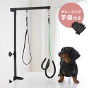 ペット トリミングアームセット 折りたたみ グルーミング手袋付き 高さ調節 リード付 トリミング 犬用 グルーミング カット ブラッシング トリミングアーム 外付けアーム トリミング台 いつものテーブルで使えます トリミングテーブル ブロー【送料無料】