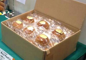 【北海道産原料使用】冷凍小麦ふすまパン40g(丸型)個包装(10個入り/ケース)　【RCP】 【marathon201305_health】【02P25Oct14】