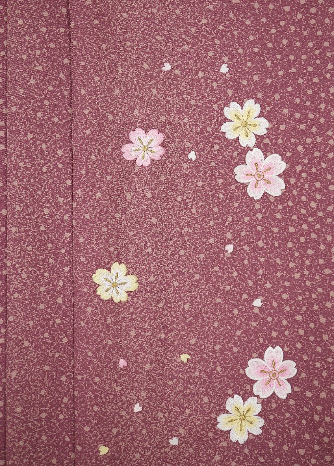 女性袴/ポリ　紐下約95cm【中古】はいからさん◇くすみのあるピンク系　桜柄　たたき風◆