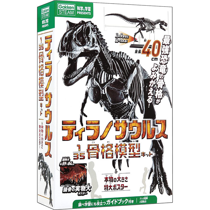 楽天ユウセイ堂2 カード利用可能店学研 ティラノサウルス1/35骨格模型キット & 本物の大きさ特大ポスター （科学と学習PRESENTS）