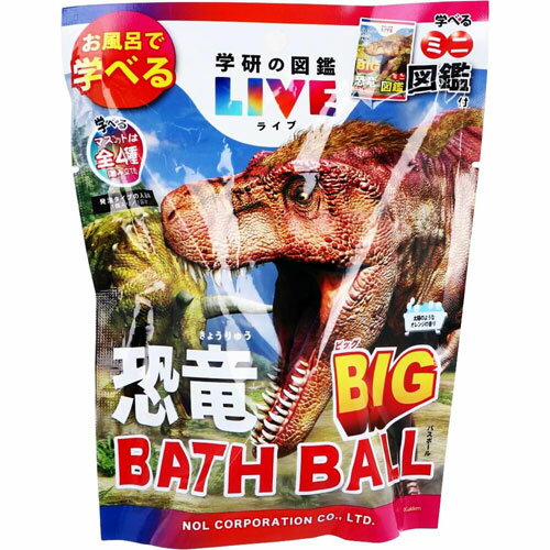 ظο޴ե饤 εӥåХܡ BIG BATH BALL  Хܥ 1