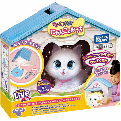 マジカルDIY にゃんことおうちのサムネイル