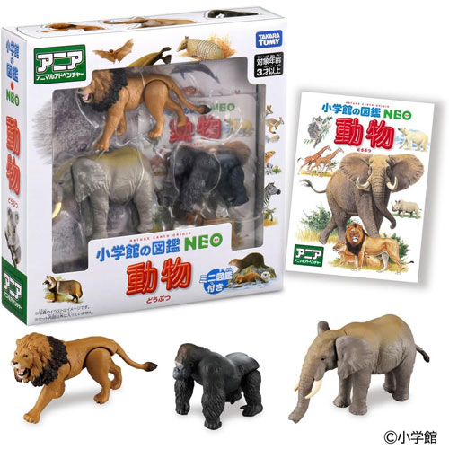 製品画像：25位