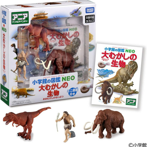 製品画像：26位