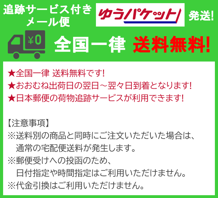 【メール便 送料無料】 ノンアイロンプリント なまえ プラレール こまち [SLN-011]