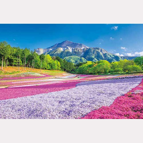 【送料無料!】 ジグソーパズル 1000ピース 日本風景 春のじゅうたん羊山公園 1000-883