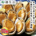 (貝) 蝦夷 あわび 柔らか煮 10個 セット