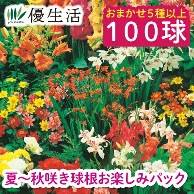 夏〜秋咲き球根お楽しみパック100球