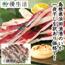 (いか イカ) 【訳あり】お徳用いか姿一夜干し1kgセット