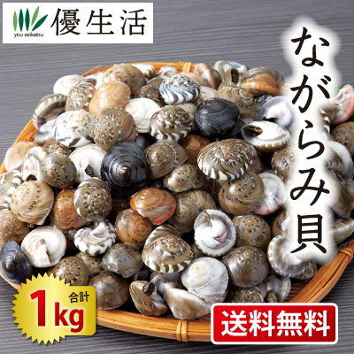 【送料無料】ながらみ貝ボイル 1kg ながらみ ダンベイキサゴ