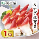 カナダ北寄貝(刺身用)1kg