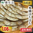 送料無料 山陰産 有頭はたはた1.08kg