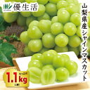 山梨県産 シャインマスカット1.1kg