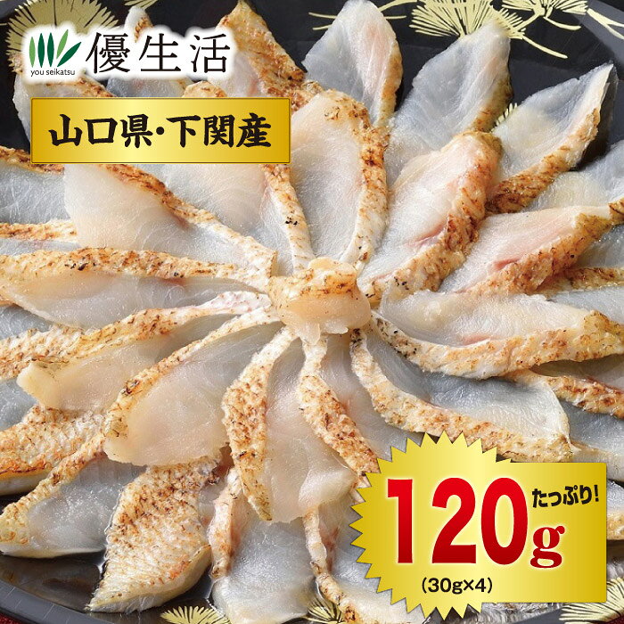 「白身のトロ」と称される下関産の高級魚「のどぐろ」を、贅沢なお刺身で。 脂のりの良いのどぐろを皮目から香ばしく炙り、旨みを引き立てた「のどぐろ炙り刺し」。とろけるような食感と上品な脂の旨みをお刺身で味わうほか、ご飯にのせて丼にしたり、お好みのだしをかけてお茶漬けにしたりと、いろいろな食べ方で楽しめます。食卓の一品やおもてなしにもおすすめです。 ●内容量／のどぐろ炙り刺し合計120g（30gx4）、ポン酢14gx4・もみじおろし2.5gx4 ●原材料／【のどぐろ炙り刺身】のどぐろ（アカムツ（山口県下関産））【ポン酢】醤油(国内製造)、砂糖、醸造酢、ゆず果汁、日向夏みかん果汁、昆布エキス、かつお節エキス、酵母エキス/調味料(アミノ酸等)、甘味料(甘草)、(一部に大豆・小麦を含む) 【もみじおろし】大根(国産)、唐辛子/アルコール、酸味料、モナスカス色素、増粘剤(グァーガム)、香辛料抽出物 ●賞味期限／製造より30日（冷凍） ●原料原産地／山口県・下関（のどぐろ）