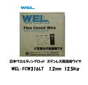 溶接ワイヤー SUS ステンレス 日本ウエルディングロッド 低炭素ステンレス用溶接ワイヤ 1.2mm 12.5kg WEL-FCW316LT