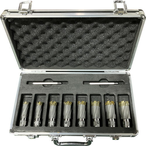 大見工業 35SQクリンキーボルト人気サイズセット CCSQ-AS 8本セッ