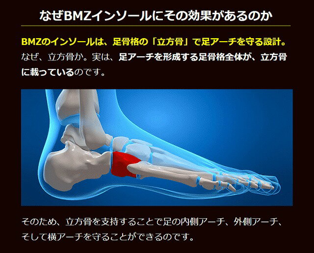 �����Ԥ�������б���BMZ�ʥӡ����ॼ�åȡ˥��ȥ饤�������ݡ��� �����󥽡��롡���å������ѥ��󥽡���ڥץ��ѥ�ǥ�ۡ�BL�֥�å������塼�ե��å��������ᾦ�ʡ���ȿ���桡���ݡ�������