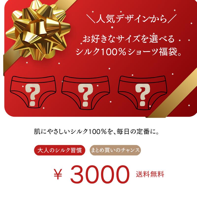 ＼5%OFFクーポンあり/シルクショーツ レデ...の紹介画像2