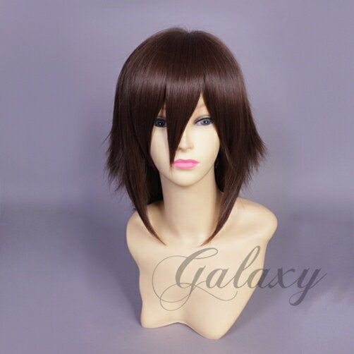 ウィッグ ストレート ショート ブラウン ブラウン系 耐熱 フルウィッグ wig y05s-12s(y05s-12s) 1