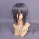 EBbO Onl V[g O[ O[n ϔM tEBbO wig y04s-07s(y04s-07s)