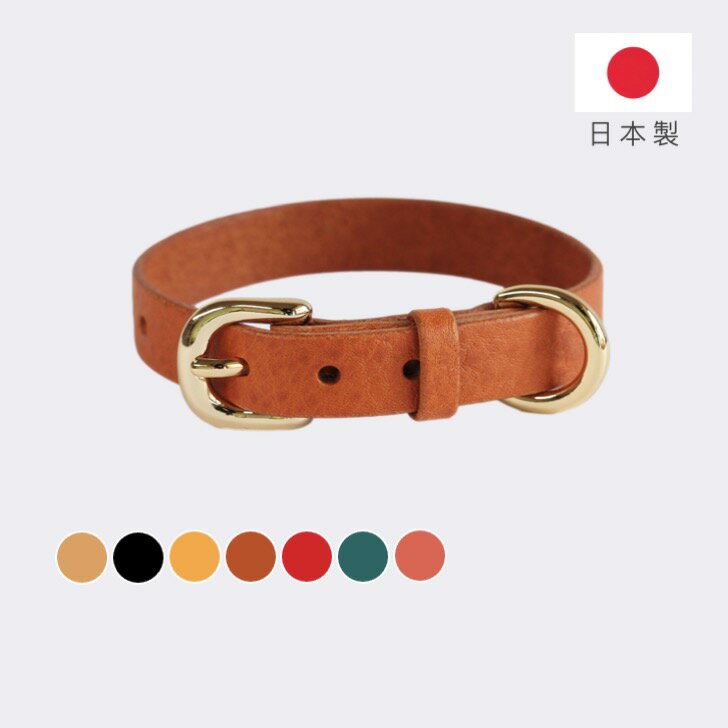 楽天市場】犬 首輪 イエローの通販 楽天市場】犬 首輪 イエローの通販