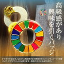 【4/24 20時～ 先着50名様使える15％クーポンあり】50個セット SDGs バッジ 簡単 取り付け きれい 持続可能な開発目標 Sustainable Development Goals 3