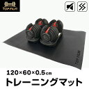 【★全品P5倍+5%OFFクーポンあり】TOP FILM トレーニングマット フロアマット エアロバイク マット ヨガマット ゴママット Sサイズ
