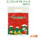 XMS-3 ミニサンタPEバック 中(10枚)クリスマス ラッピング プレゼント 子供会 クリスマス会