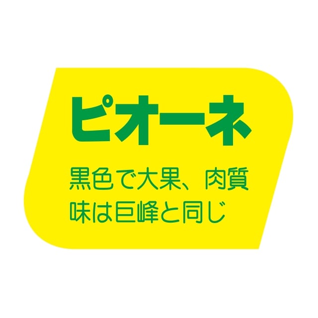 樂天商城 - 青果 その他青果 ラベル シール　ピオ—ネ　SMラベル　F-893　1シート20枚付　1袋1000枚入【メール便OK】