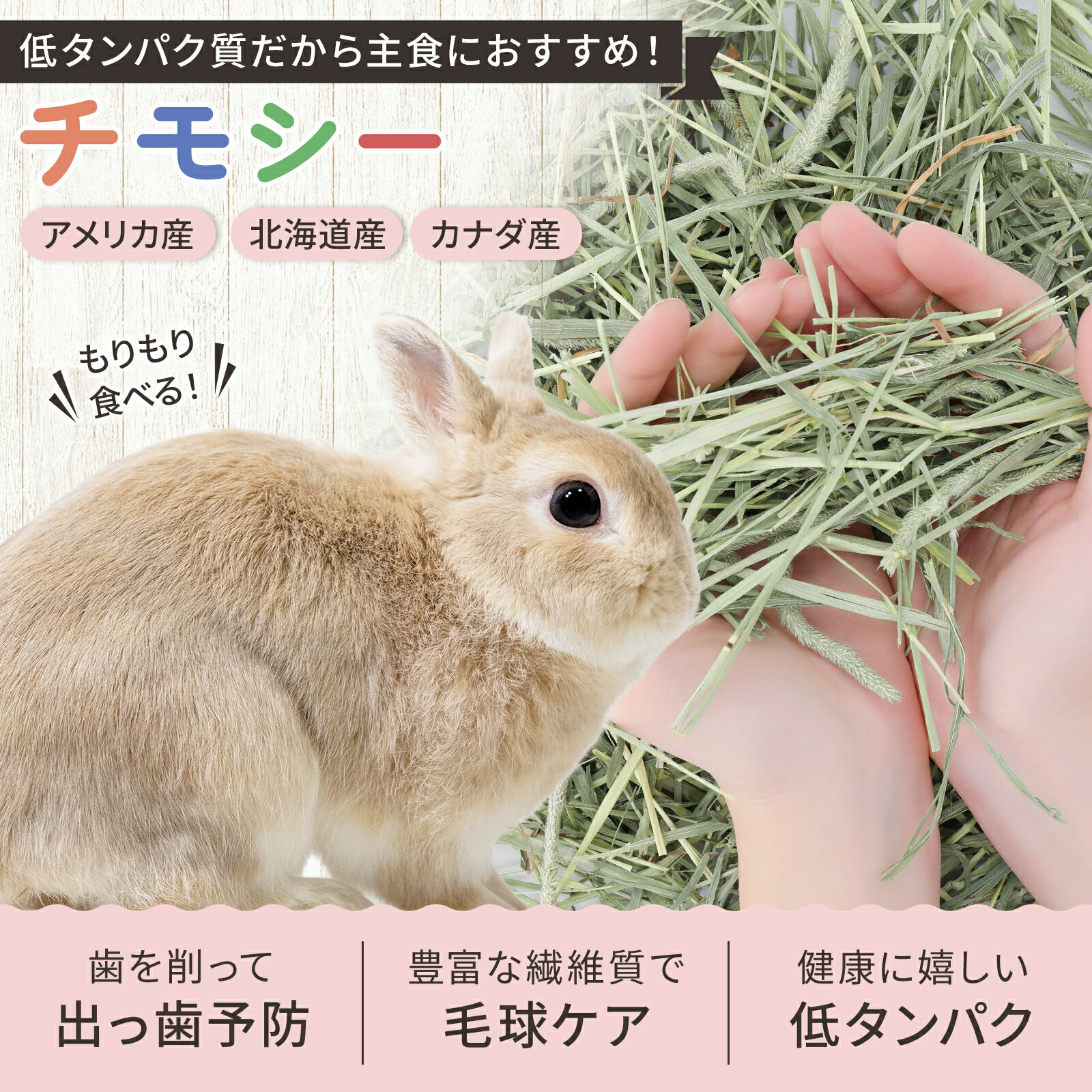 【ラベル有】【ジップ有】うさぎ 牧草 ウサギ牧草 チモシー シングルプレス 500g×3袋 アメリカ産 アメリカ US 1番刈り一番刈り 狩り mofu parfait 牧草王国 餌 エサ えさ チンチラ うさぎ モルモット 牧草 えさ ※オーツヘイ キューブではありません n 2