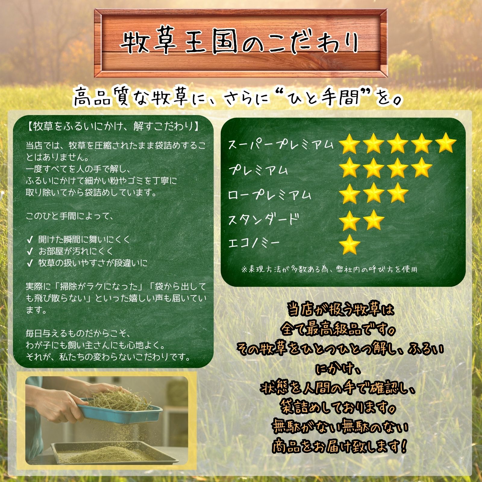 ������ ���� �����ꥢ��饤���饹 500g ��դѤդ� ���𲦹� ������ �ǥ��� ������� �ϥॹ���� ����å� �Ϲ���ȴ�� ��ʪ����˭�� ���⥷��������