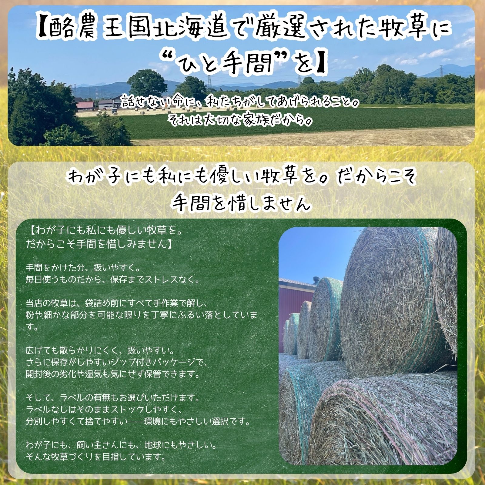 ������ ���������̵���ۥХߥ奤�����إ� 500g��12�� ������ �¥������ �ϥॹ���� ����å� �ǥ��� ���� ��դѤդ� ���𲦹� SSS