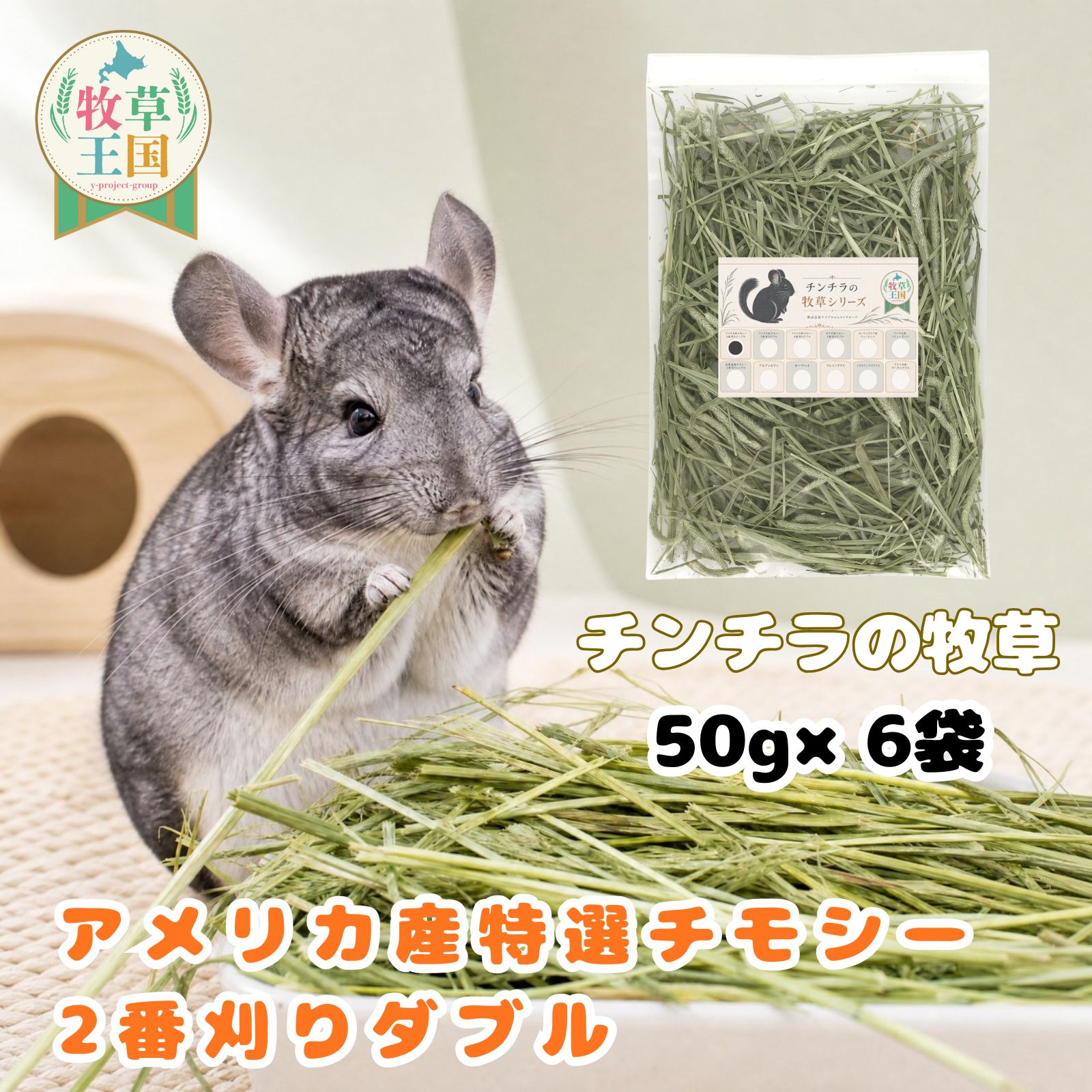 チンチラ 牧草 アメリカ産 特選チモシー 2番刈り ダブル 50g×6袋 50g×12袋 ちんちら 餌 毛球症対策 不正咬合 繊維質 うっ滞防止 食いつき 健康ケア プレミアムフード もふぱふぇ 牧草王国 セレクション 送料無料