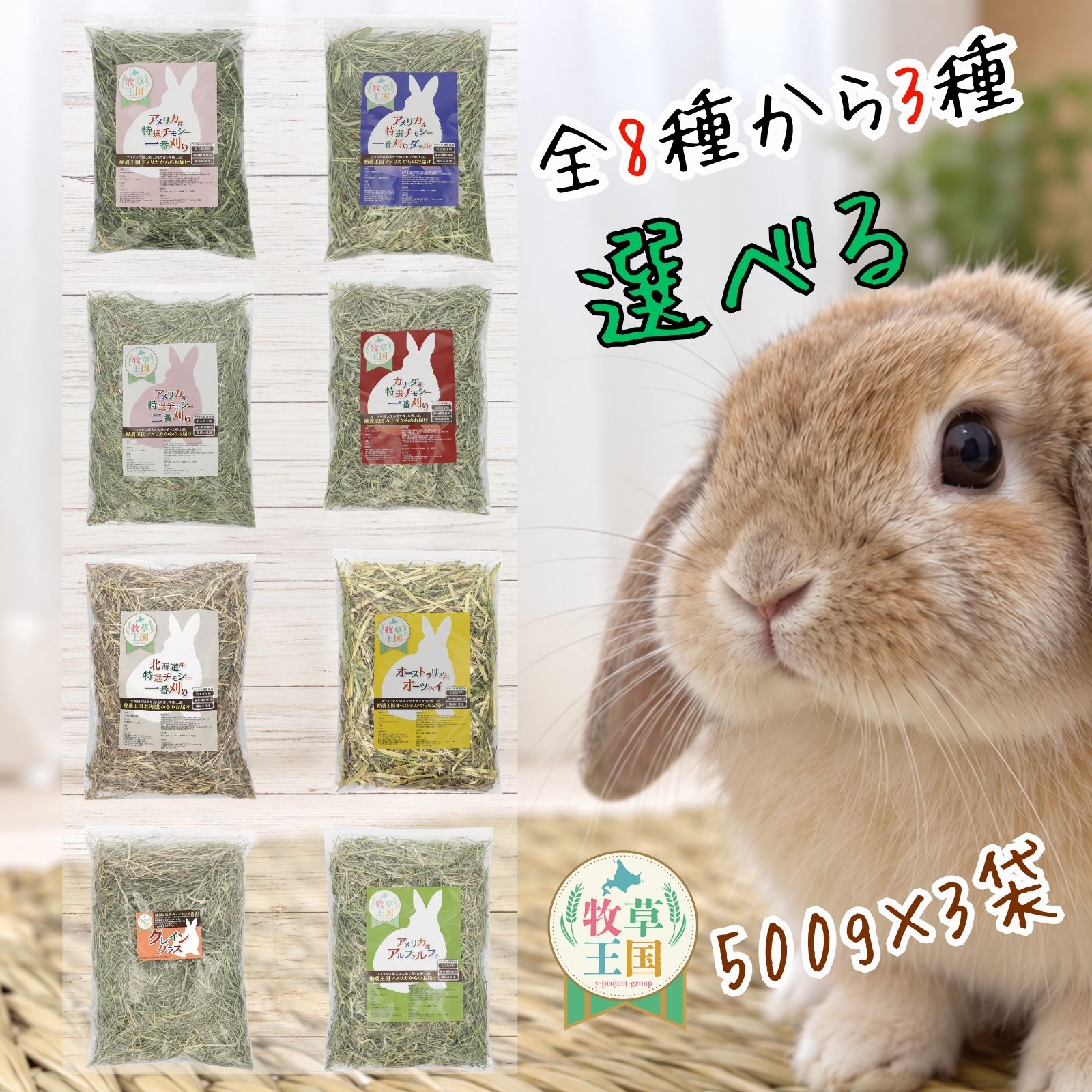 【お得商品！500g×3袋】3点選んで購入 ウサギ牧草 うさぎ チモシー 北海道産 アメ...