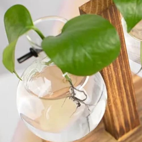 花瓶 2個 一輪挿し ガラス 透明 フラスコ 木製 おしゃれ フラワーベース 北欧 韓国 インテリア ヴィンテージ 枝物 観葉植物 ドライフラワー [2]