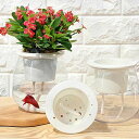 全4種 花瓶 ポット 水耕栽培 プラスチック 割れない 小さい 透明 おしゃれ フラワーベース 枝 北欧 韓国 インテリア モダン 観葉植物 多肉植物