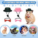 全2種 ウサギ 学帽 蝶ネクタイ セット 帽子 ウェア 可愛い 小動物 ネコ 猫 子犬 服 ペット お散歩 ドレス 衣装 制服 卒業 パーティー