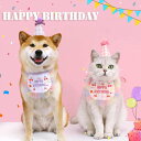 全4種 誕生日 HAPPY BIRTHDAY コスチューム 帽子 セット ウェア 可愛い 小動物 ネコ 猫 犬 服 ペット ドレス 衣装 パーティー