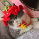 ペット用 いちご柄 クロシェ ニット帽 かわいい おしゃれ おもしろ 猫 小型犬 中型犬 おもしろ 笑える 男の子 女の子 撮影会 着脱簡単 S M フルーツ ...