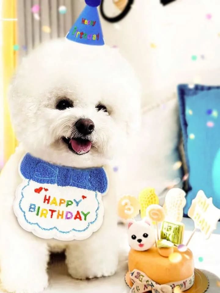 �� �� ������ ���襤�� �ڹ� �Х���� �������� ǭ ˹�� ���å� �ѡ��ƥ��� �ڥå� ���⤷�� ��ǯ ������ �淿�� �ԥ� �� ���� �� �忧
