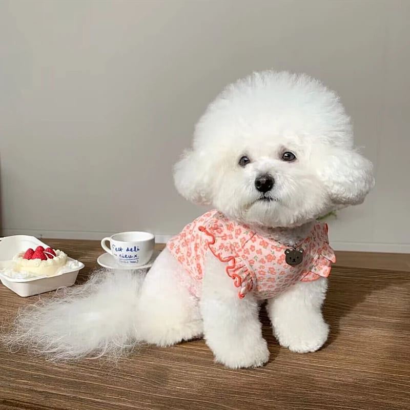 犬 服 花柄 春夏 フリル 夏用 男の子 女の子 中型犬 小型犬 嫌がらない かわいい おしゃれ 着せやすい ロンパース 涼しい クール UVカット