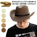 ビルトモア シャンタン パナマ ハット 中折れ 春夏 帽子 BILTMORE RAMSAY shuntung panama hat ストローハット メンズ レディース ユニセックス 麦わら帽子 パナマハット つば広 100周年記念 USA 中折れハット 数量限定 ハットボックス 耐水 UVカット [カラー]ナチュラル