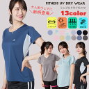 レディース 女性 女の子 トップス Tシャツ 半袖 スポーツウェア ドライウェア ドライフィット カリフォルニア ウォーキング ランニング ジョギング ジム ヨガ 女 ガール ウーマン 伸びる V