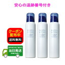 【3本セット】肌ナチュール 炭酸 ホワイト クレンジング 100g 3本セット HADA NATURE White Cleansing スキンケア 美白パック シミ そ..